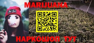PSILOCYBIN Гатчина