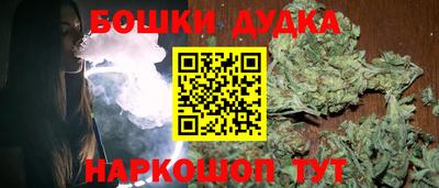 PSILOCYBIN Гатчина