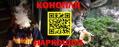 PSILOCYBIN Гатчина