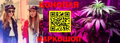 дурь Гай