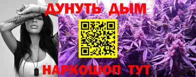 PSILOCYBIN Гатчина