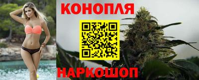 PSILOCYBIN Гатчина