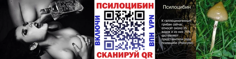 Псилоцибиновые грибы Cubensis  где можно купить наркотик  Советская Гавань 