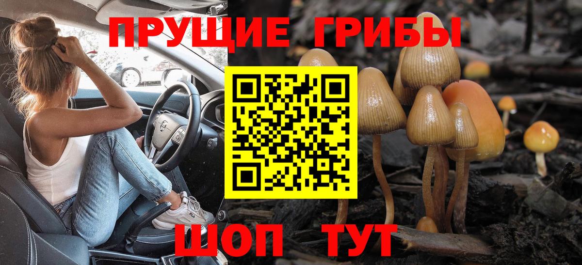 Псилоцибиновые грибы GOLDEN TEACHER Советская Гавань