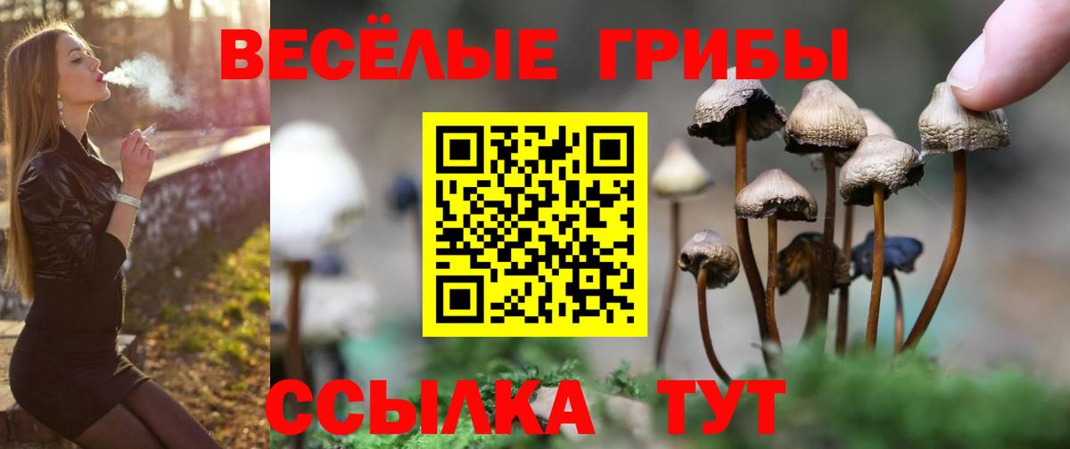 Советская Гавань  Галлюциногенные грибы мухоморы  Вход с VPN 